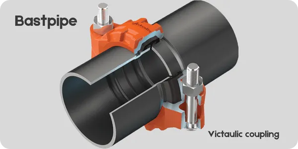 اجزاء و ساختار بست ویکتالیک