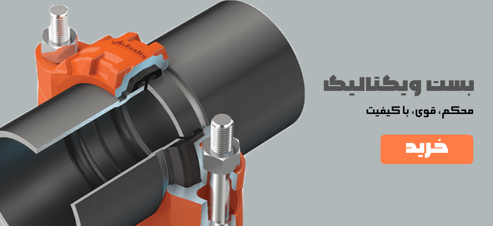 بست ویکتالیک