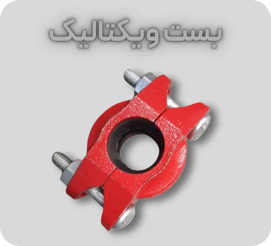 بست ویکتالیک